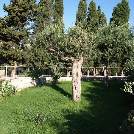 Guest house Anchise 38 Pizzolungo